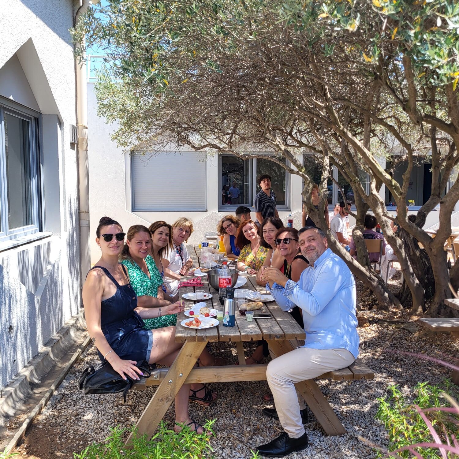 Déjeuner convivial à l’ombre des oliviers — étudiants et équipe