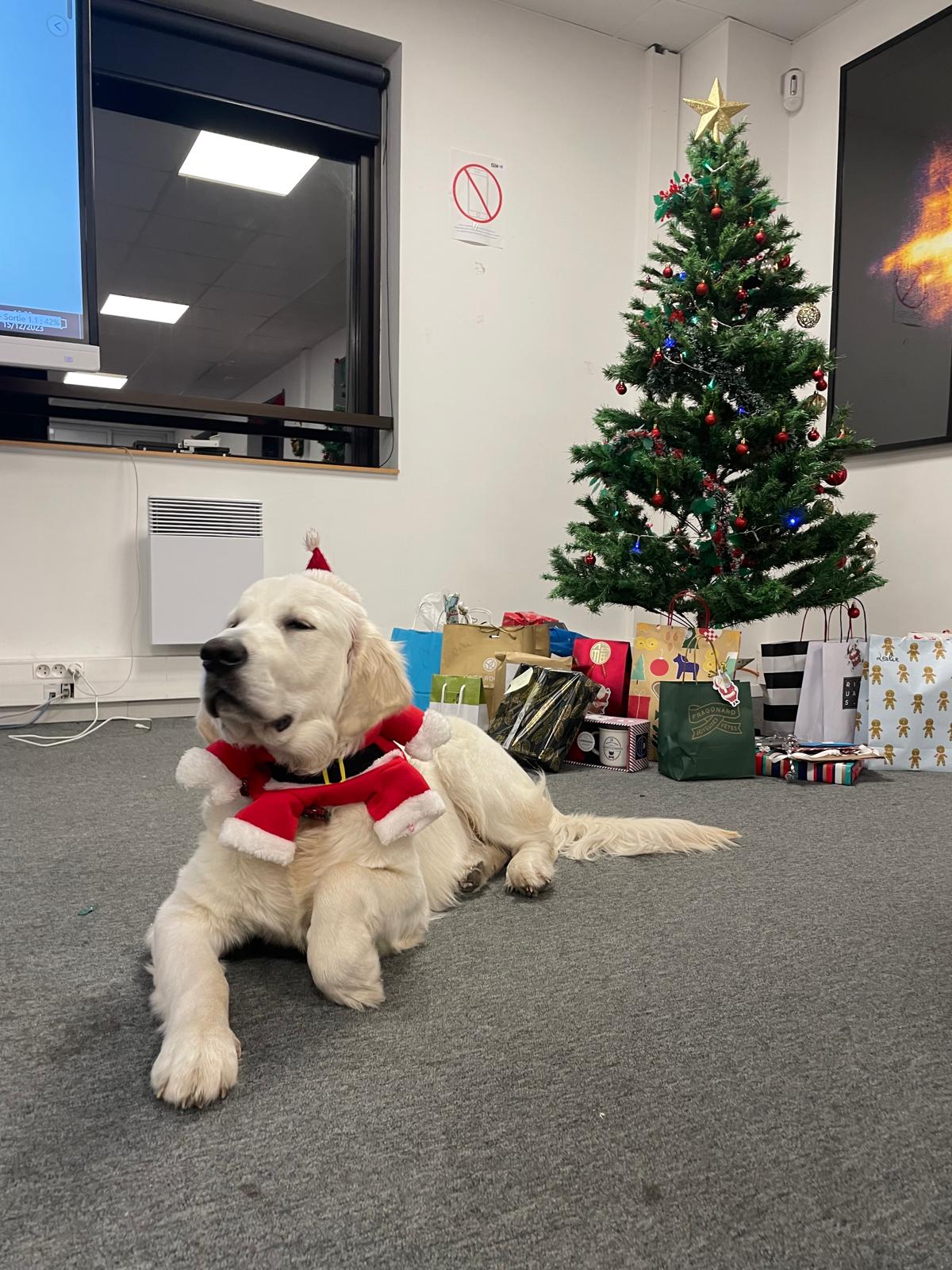Yuki, la mascotte du campus Nice