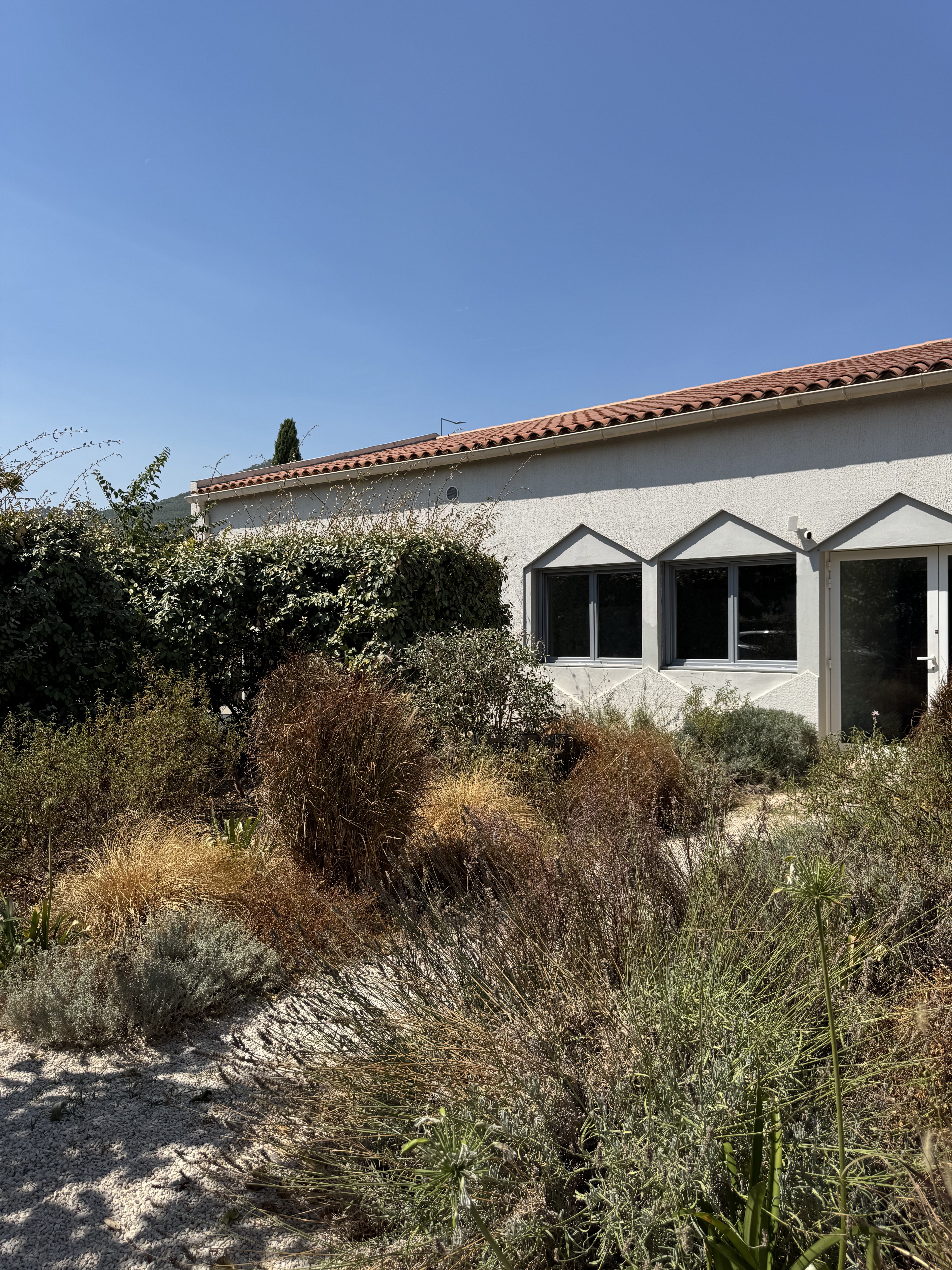 Extérieur du campus — zones piétonnes