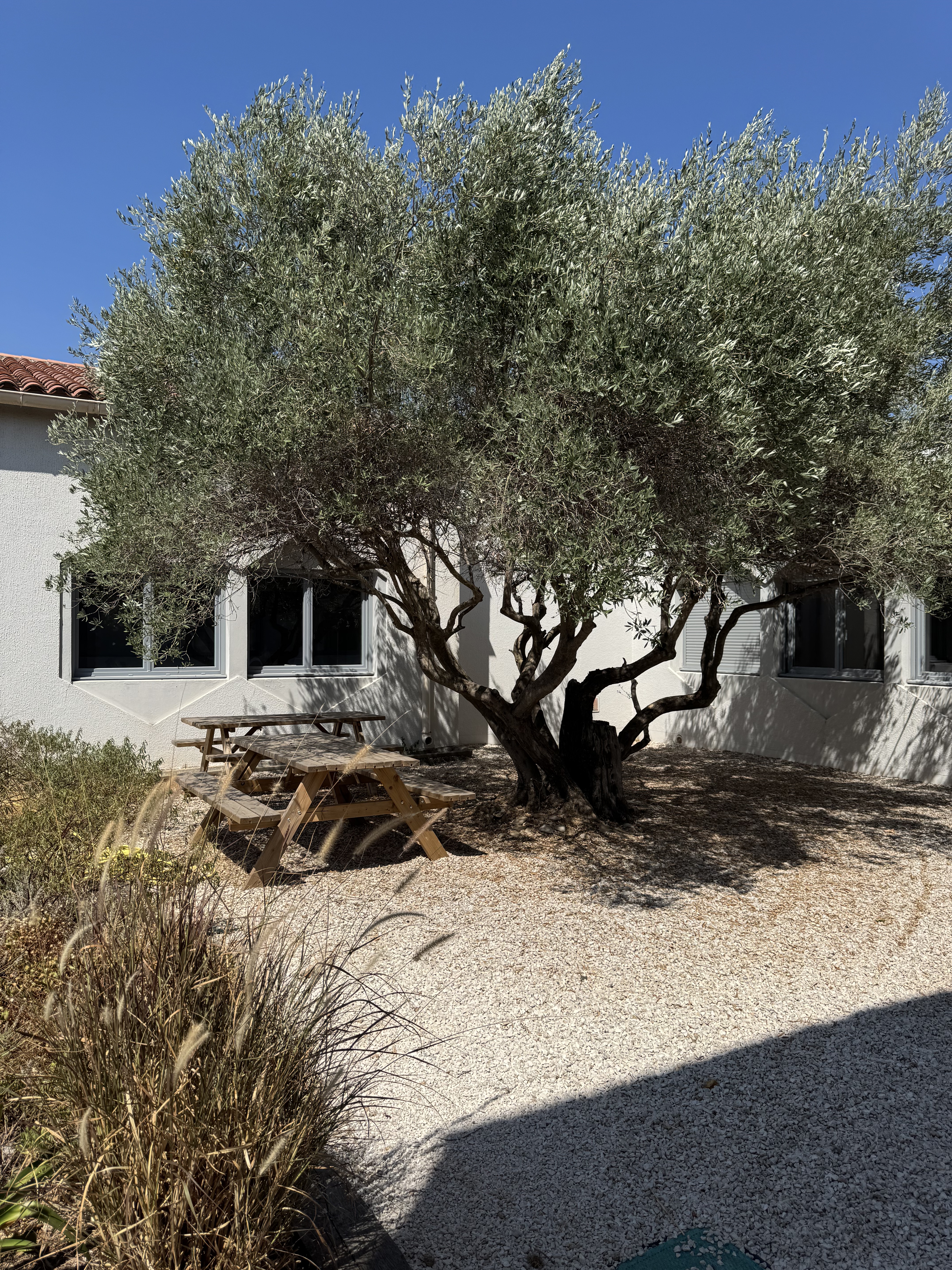 Extérieur du campus — espaces de pause