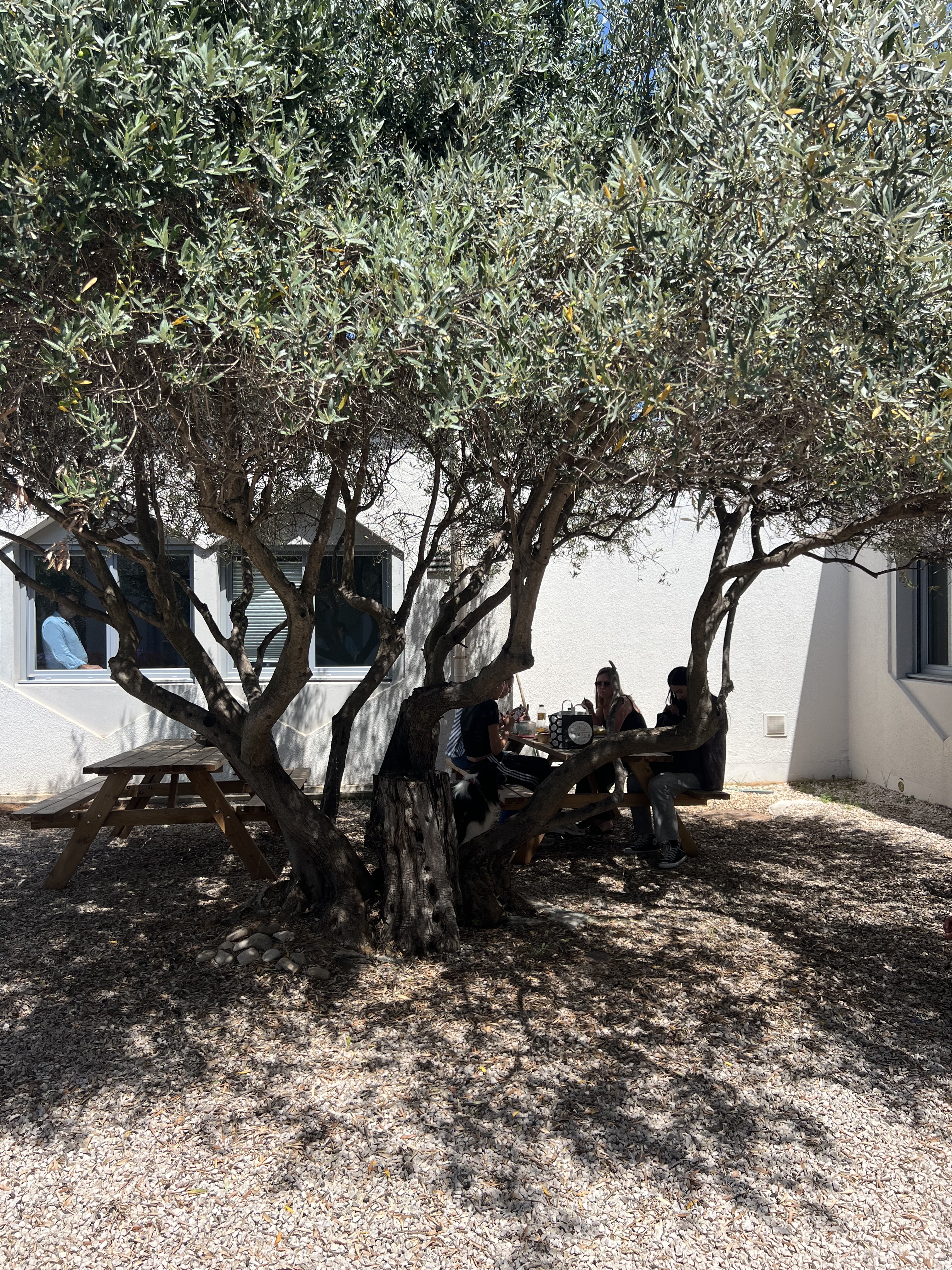 Des étudiants en train de déjeuner sur le campus d'Isim de Toulon
